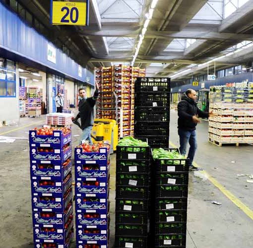 Raccolta alimentare Caat