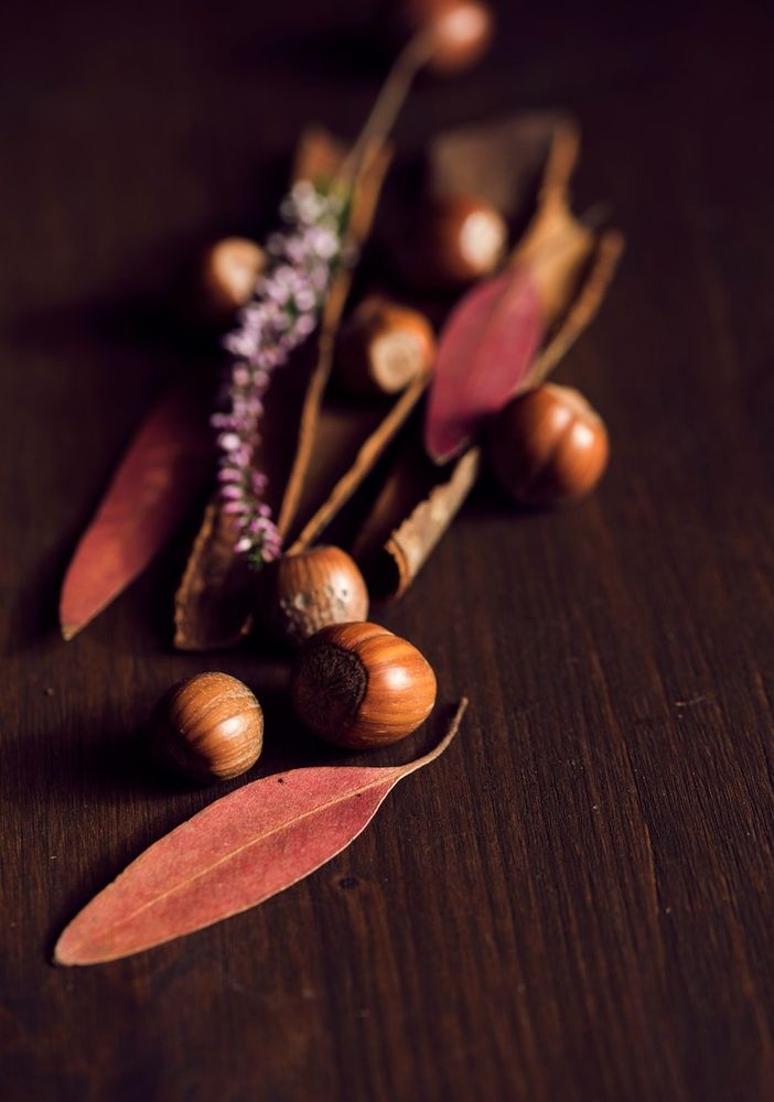 Le 3 migliori ricette salate con la crema di nocciole