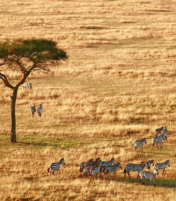 5 opzioni per un viaggio in Africa nel 2024