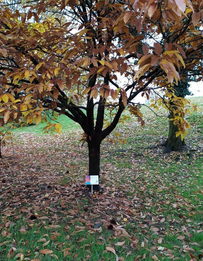 Terza Missione: l'impegno del Dipartimento di Scienze Agrarie, Forestali e Alimentari di Grugliasco