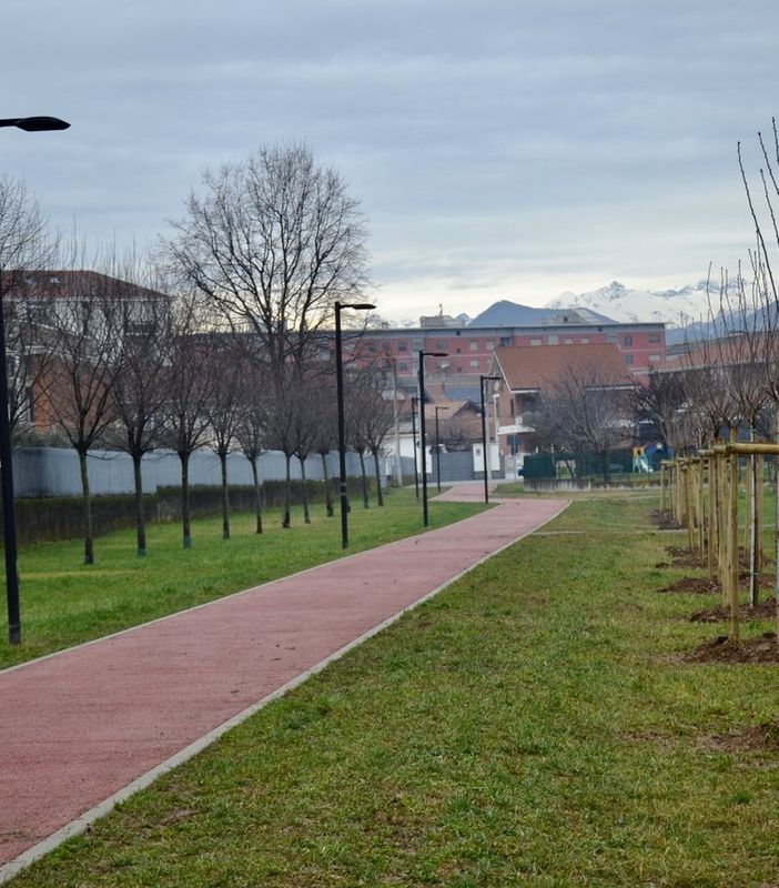 Novanta nuove piante per una Grugliasco sempre più Green