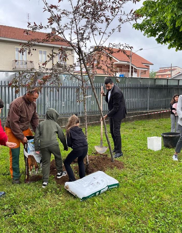 Grugliasco più green: piantumato un melo nel giardino della scuola primaria King
