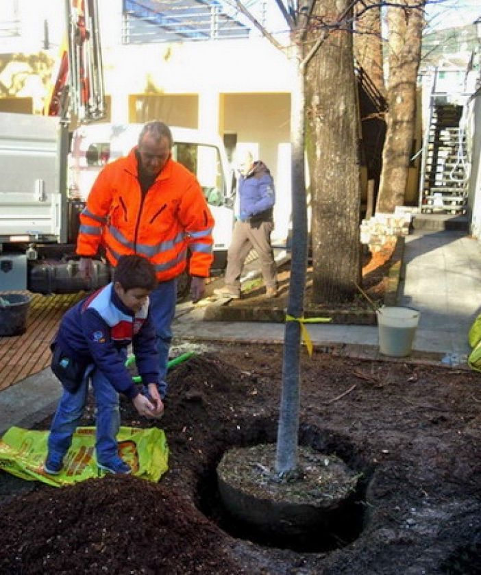 &quot;Adotta un albero&quot;, torna l'iniziativa per i genitori che ne regalano uno ai propri figli