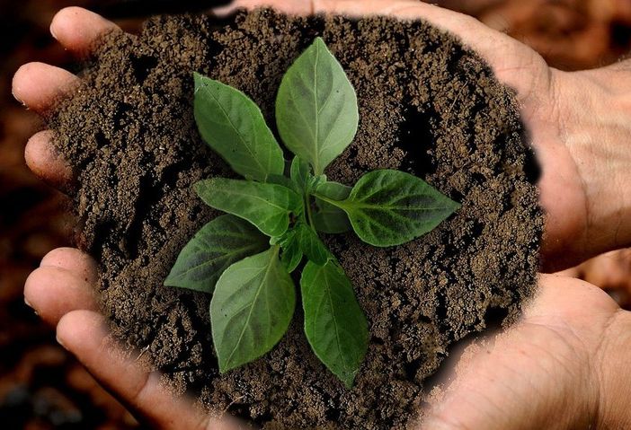 Coldiretti Piemonte: &quot;la proroga triennale agricoltura 4.0 consente nuove opportunità alle imprese”