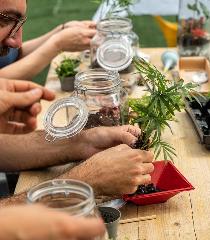 Festival del Verde, al via la seconda edizione: oltre 150 appuntamenti diffusi tra giardini, orti urbani e parchi pubblici