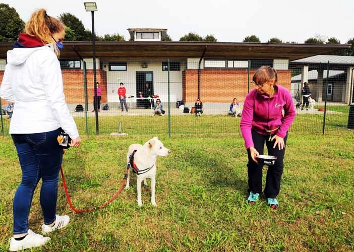 Grugliasco, riparte la scuola Uam per i futuri terapisti a 4 zampe
