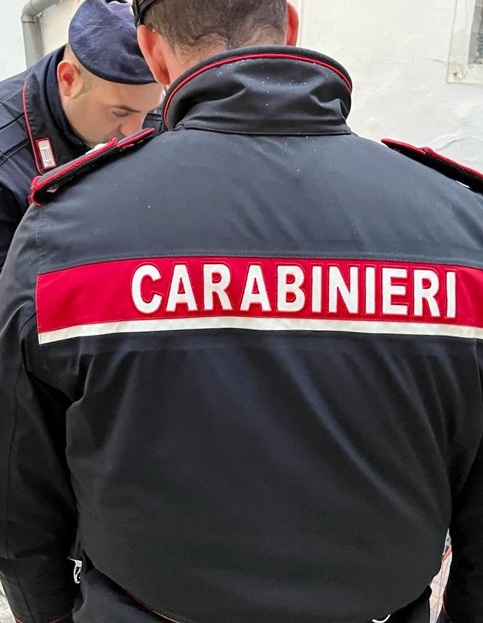 Contrasto alla droga, 4 arresti e centinaia di dosi sequestrate nel Torinese