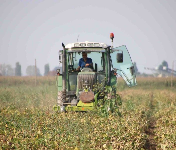 Agricoltura, in Piemonte aperto il bando da 9,2 milioni per la riduzione delle emissioni di gas serra e ammoniaca
