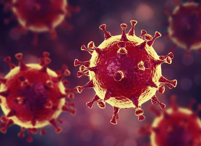 il coronavirus Covid-Sars-19
