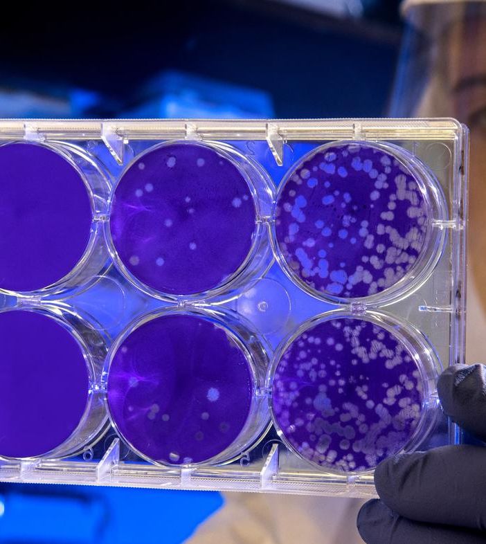 Coronavirus in Piemonte: zero decessi nella giornata di oggi, salgono a 22.451 i guariti