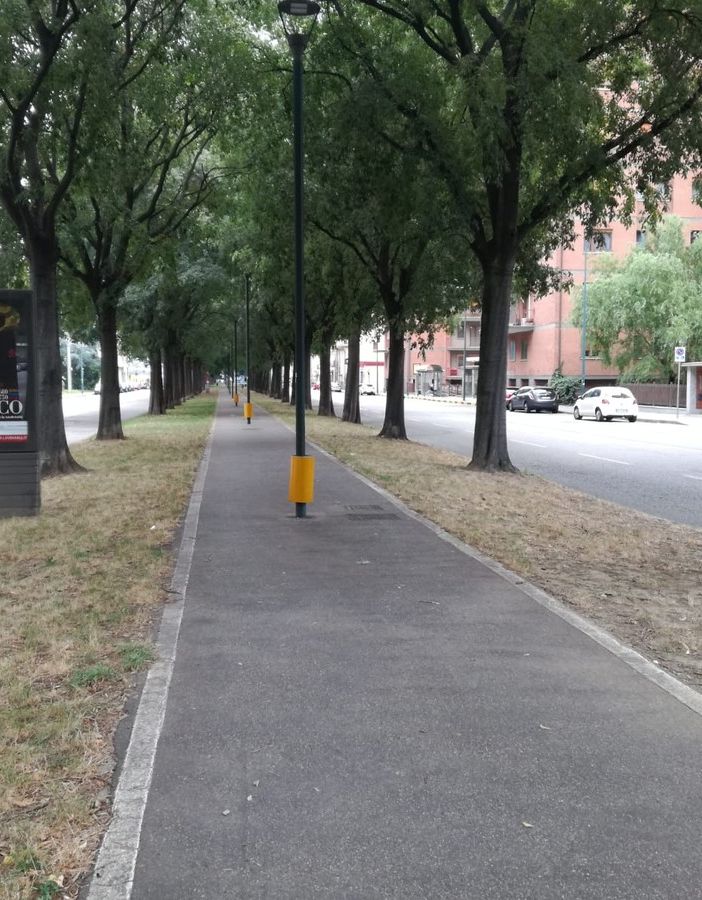 Grugliasco, terminati i lavori di asfaltatura di corso Allamano