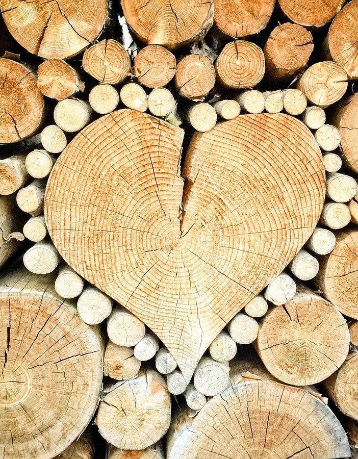 Nasce a Woody 2024 l’associazione “Cluster Legno Piemonte”