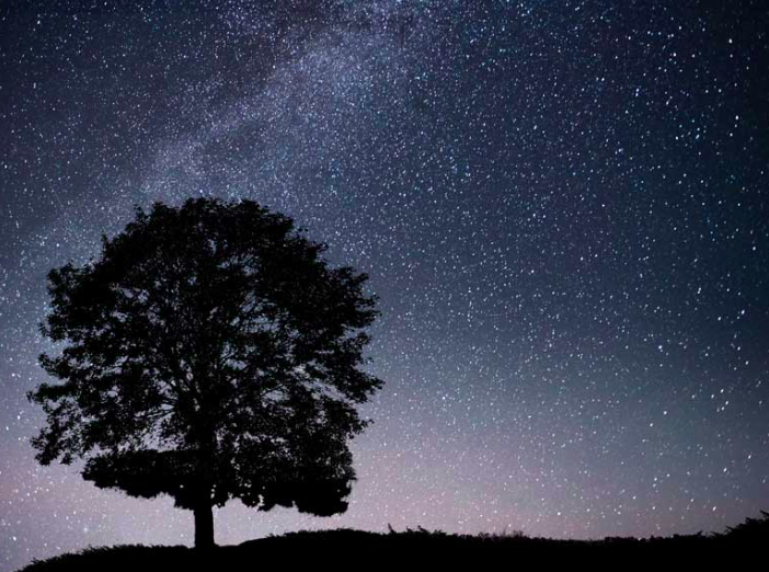Notte di San Lorenzo: ecco dove vedere le stelle ed esprimere i propri desideri