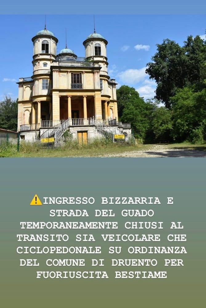 Cinque tori da rodeo fuggono da una cascina: La Mandria chiude per precauzione il cancello di Bizzarria