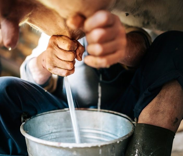 Coldiretti Piemonte:: &quot;Bene proroga etichette salva Made in Italy&quot;