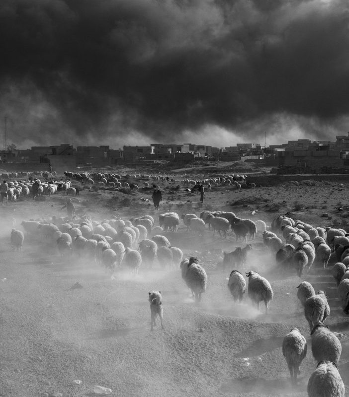 foto realizzata a Mosul