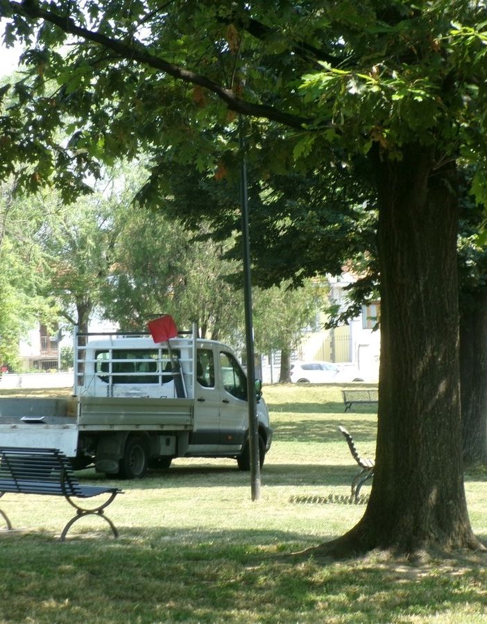 Dopo il grande successo dello scorso anno torna a Grugliasco &quot;Dona un albero&quot;