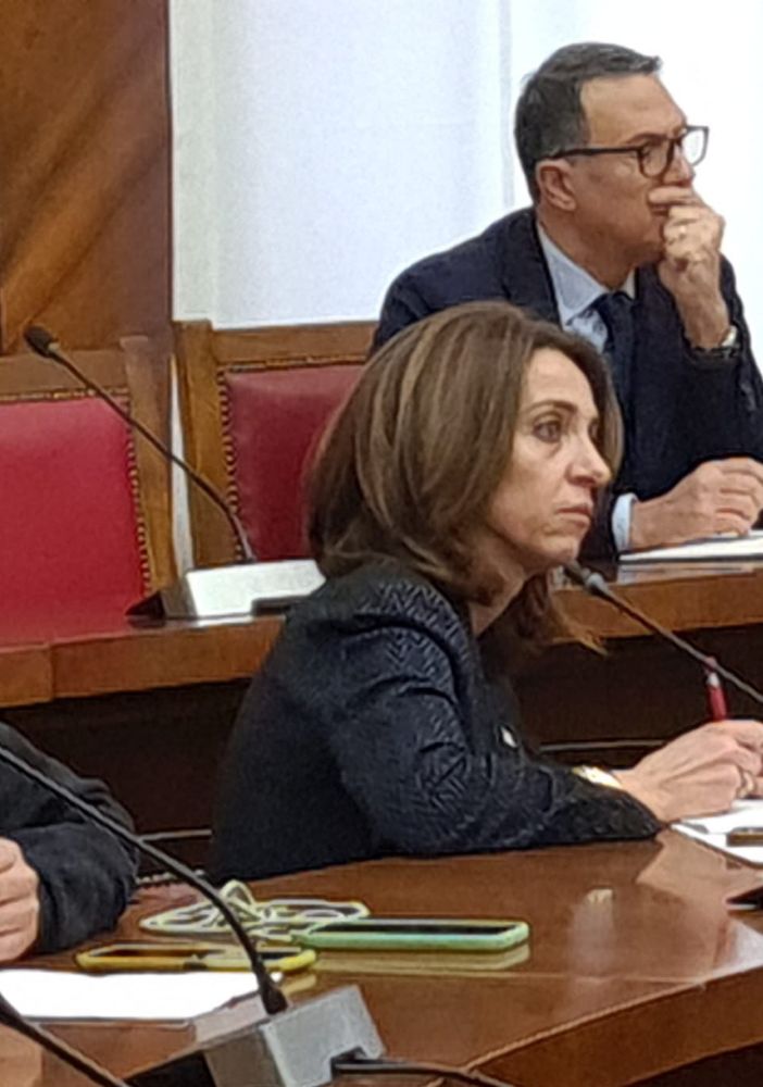 Lear, Chiorino al Mimit: “Dalla Regione misure efficaci per i lavoratori”