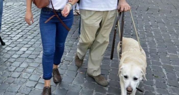 Per categorie con disabilità il mondo del lavoro è un rebus ancora più difficile da risolvere