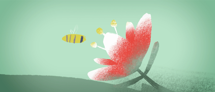 L'ultima Ape: ecco il cortometraggio su ambiente e rifiuti speciali realizzato da Baricalla L'ultima Ape: ecco il cortometraggio su ambiente e rifiuti speciali realizzato da Baricalla