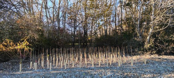 Immagine di repertorio Immagine di repertorio