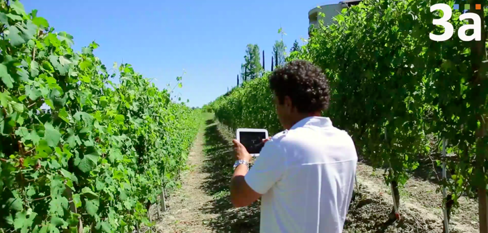 3A porta l'innovazione nei controlli di qualità dei dati meteorologici: "Fondamentale il supporto di Cdo e Camera"