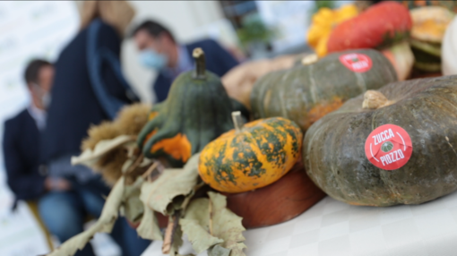 Autunno con Gusto non si ferma, a Piozzo è tempo di "Zucca in cascina" Autunno con Gusto non si ferma, a Piozzo è tempo di "Zucca in cascina"