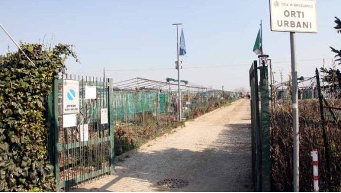 Foto di archivio degli orti urbani di Grugliasco Foto di archivio degli orti urbani di Grugliasco