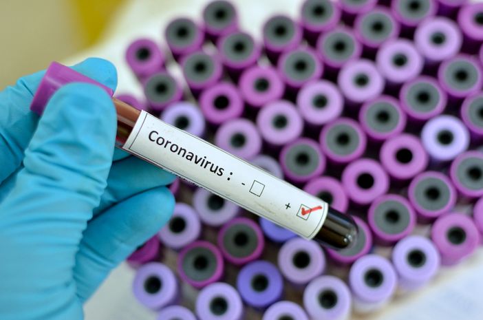 Coronavirus in Piemonte, altri 41 i positivi e 16 i guariti
