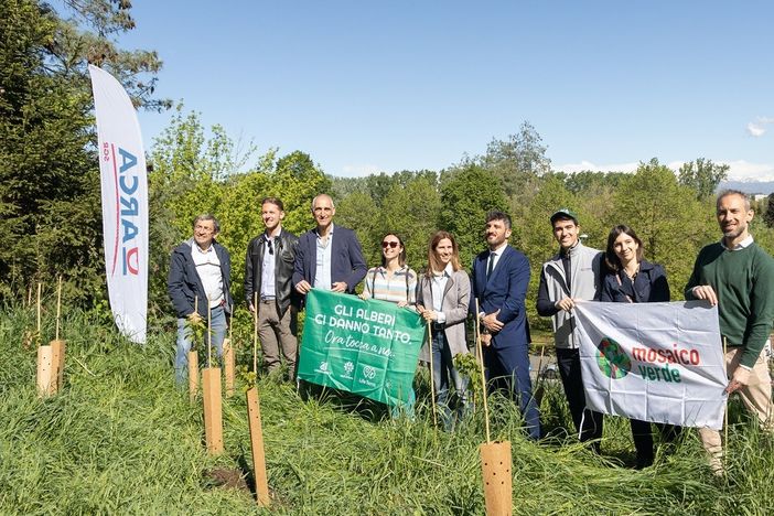 A Torino messe a dimora  750 piante per rigenerare cinque aree verdi urbane  grazie ad Arca Fondi SGR  e Gruppo BPER