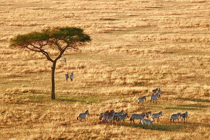 5 opzioni per un viaggio in Africa nel 2024