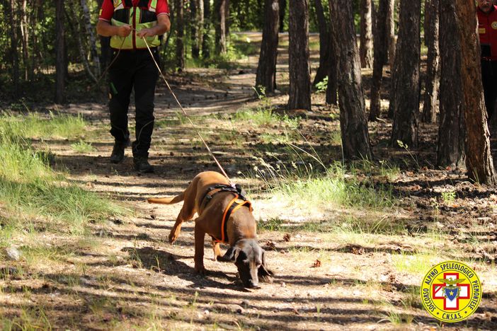 Magliano: "L'attività cinofila riparta anche in Piemonte" Magliano: "L'attività cinofila riparta anche in Piemonte"