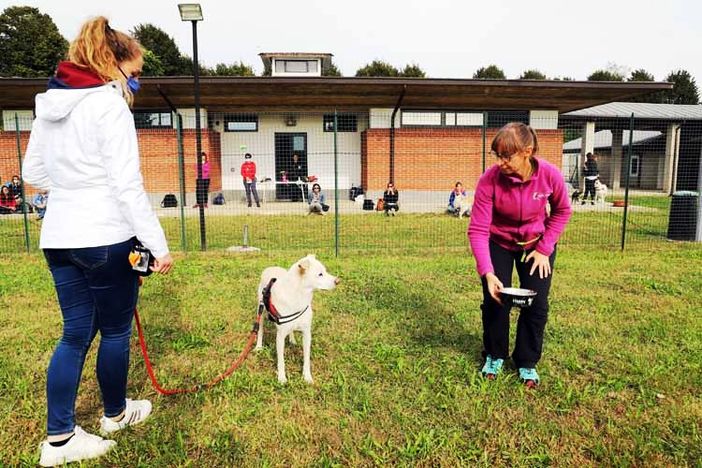 Grugliasco, riparte la scuola Uam per i futuri terapisti a 4 zampe