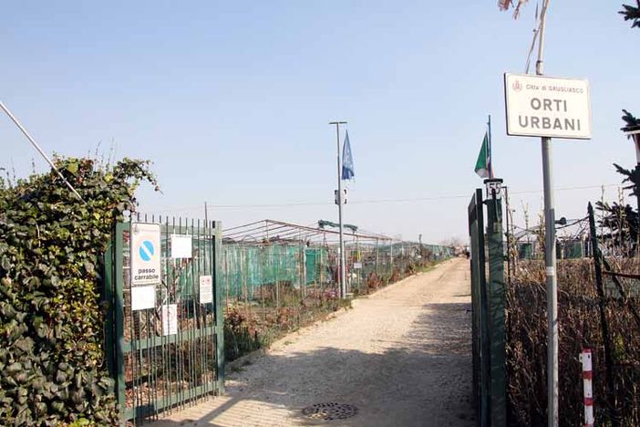 Grugliasco, nuova associazione per gli orti urbani: c'è tempo fino al 15 ottobre Grugliasco, nuova associazione per gli orti urbani: c'è tempo fino al 15 ottobre