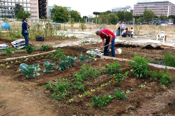 Orti urbani Orti urbani