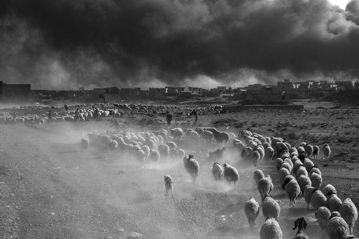 foto realizzata a Mosul foto realizzata a Mosul