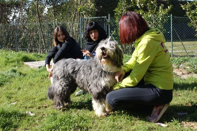 UAM, educazione cinofila e la magia dell’incontro a Grugliasco UAM, educazione cinofila e la magia dell’incontro a Grugliasco