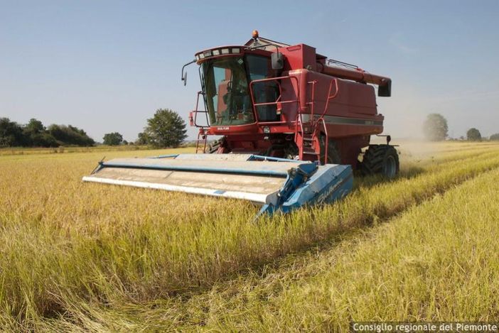 Piano per la qualità dell'aria: "In assenza di modifiche a rischio il settore agricolo" Piano per la qualità dell'aria: "In assenza di modifiche a rischio il settore agricolo"