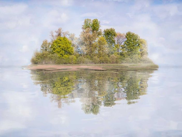 “Metamorphoseon”, alla Casa del Conte Verde un viaggio tra arte e natura “Metamorphoseon”, alla Casa del Conte Verde un viaggio tra arte e natura