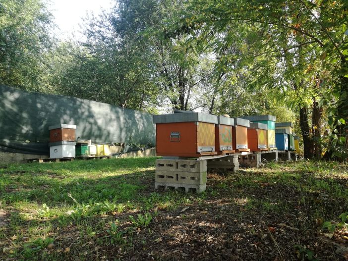 corona verde 12 ottobre 2021 corona verde 12 ottobre 2021