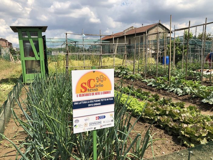 orto urbano inaugurato a Collegno