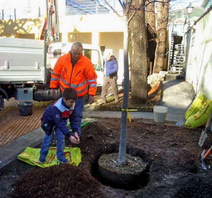 "Adotta un albero", torna l'iniziativa per i genitori che ne regalano uno ai propri figli