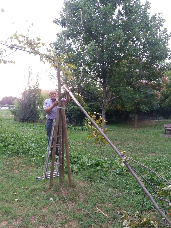 Sistemati dai volontari gli alberi danneggiati dal maltempo al parco San Sebastiano di Grugliasco