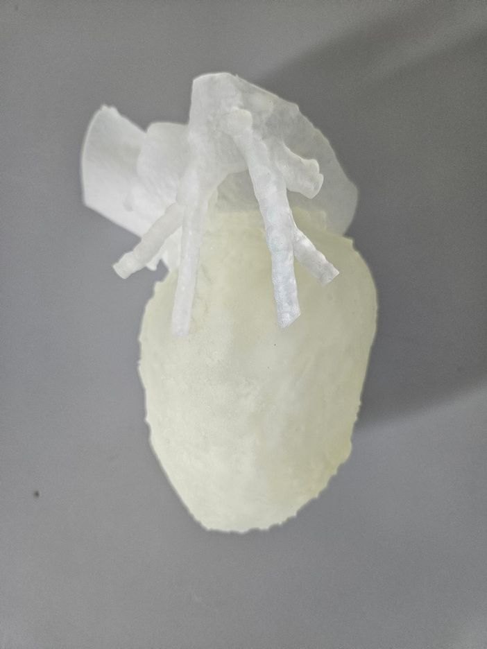 foto intervento foto intervento