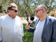 Annata olearia, Rinaldi: &quot;Confidiamo in un olio eccellente, le speranze sono buone&quot; (video)
