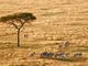 5 opzioni per un viaggio in Africa nel 2024