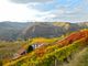 Dai sorì delle Langhe alla bottiglia: la filiera corta di Terrenostre