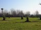 Una Grugliasco più verde: quasi 300 gli alberi piantumati a marzo Una Grugliasco più verde: quasi 300 gli alberi piantumati a marzo