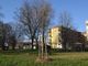 Grugliasco città sempre più verde: piantati 90 nuovi alberi
