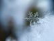 Foto di Aaron Burden - tramite Unsplash